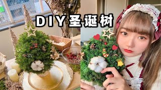 【XmasVlog】我在日本亲手做了一棵圣诞树｜日本留学日常｜DIY圣诞树【YakoMeow】