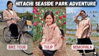 Hitachi Seaside Park Adventure|Nemophila Sky Blue Garden,Tulip,Bike Tour at Ibaraki|PinkSampaguita