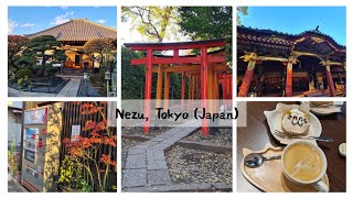 Nezu 根津 Japan - 根津神社 Japan Vlog