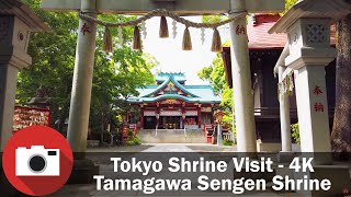 Japanese Shrine Visit - Tokyo Tamagawa Sengen Shrine - 4K 60FPS