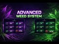 Advanced Weed System FiveM Scripts