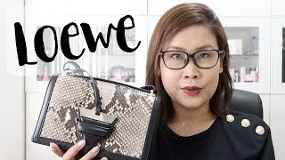 Loewe Barcelona手袋用後感分享🤔值唔值得買 + WIMB | 黑咪