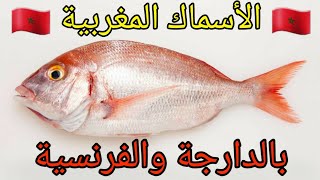 أنواع الأسماك في المغرب بالدارجة و الفرنسية Types de poisson au maroc