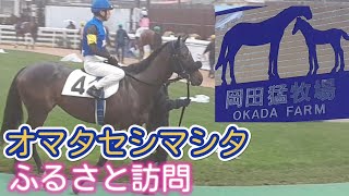 オマタセシマシタ『ふるさと訪問』岡田猛牧場さん