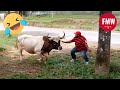 Funny & Hilarious People's Life 😂 #171 - Try not to Laugh | Best Funny Videos Compilation 2024