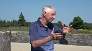 How To Select A Standardbred Yearling?