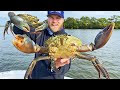 Big rains mean Monster crabs! (Catch, Clean Cook)