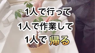 体調不良だけどパート休めない。不眠症だ。お掃除パートのいいところ。