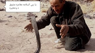 مشهد يذهل العقول صيد اكبر كوبرا خطيره جدا وشرسه الله يحضر السلامه