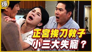 《黃金爆爆爆》黃金歲月 EP261 正宮挨刀救子   小三大失寵？