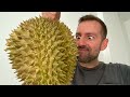 Durian English