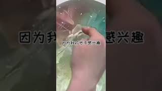 虐狗故事5自己做的，不好可留言无喷