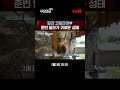 허블리 심장 녹이는 콱알라 🐨 부산촌놈in시드니 ep.6