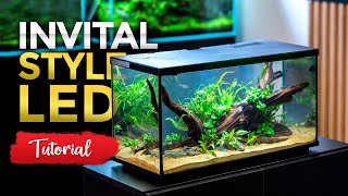 Hogyan telepítsünk akváriumot - INVITAL Style | INVITAL