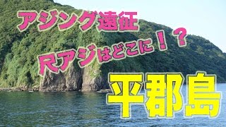 尺アジ探しの旅 平郡島へ