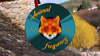 RootsMan - AnimalFrequency