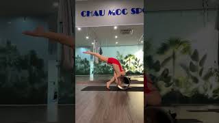 Aerial Yoga video ।। Aerial Yoga pose #aerialyoga #masterravi