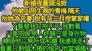 新婚夜蓋頭沒掀 他被叫陪生病的青梅，隔天抬她為平妻 說有孕三月授掌家權，丫鬟替我打抱不平 我數著八車陪嫁 男人終歸只是身外物，轉頭他以無所成和離 我連夜走了，看著只剩個木樁的侯府 他當場瘋了