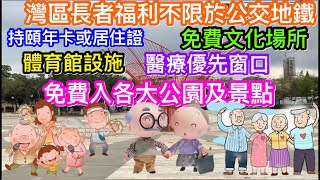 長者福利不只公交地鐵｜香港60歲＋長者如持頤年卡或居住證｜深圳免費用文化娛樂康體設施體育館等｜免費進各類公園及部分景點｜醫療機構優先窗門｜外省城市皆有不同福利