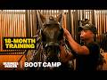 What Army Horse Soldiers Go Through In Arlington Funeral Training | Boot Camp