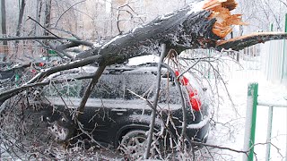 Ледяной дождь оставил без света 195 тысяч жителей Ростовской области, Москва – следующая