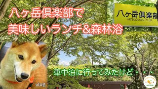 【夏の八ヶ岳倶楽部】美味しいランチと森林浴と／柴犬蚊取り線香スタンド／道の駅こぶちさわ