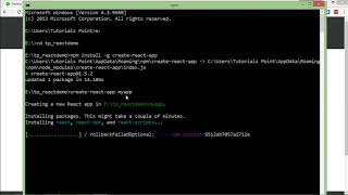 ReactJS - Environment Setup Through NPM