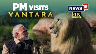 PM Modi Explores Vantara | World's Largest Animal Rescue Centre | 4K Video | Anant Ambani | N18V