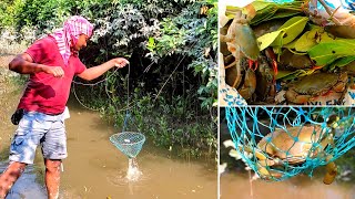 Crabs 🦀 catching । Sundarban । একাই এলাম সুন্দরবনে কাঁকড়া ধরতে । Sundarban fishing । Adventure