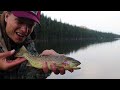 fly fishing rocky mountain national park estes park colorado