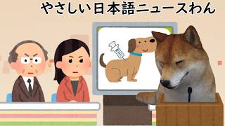 「飼っている犬には必ず狂犬病のワクチンをして」やさしい日本語ニュースわん