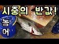 살아있는 농어 엄청 싸게 사는법! 노량진수산시장 경매장! 활문어도 샀어요!