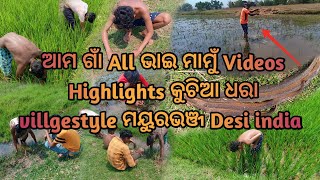 ଆମ ଗାଁ All ଭାଇ ମାମୁଁ Videos Highlights କୁଚିଆ ଧରା villgestyle ମୟୁରଭଞ୍ଜ Desi india vlogs