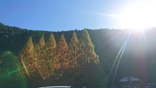 道の駅「杉原紙の里かみ」まで紅葉ライド