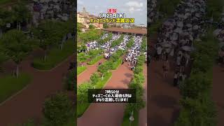 6月27日木曜日ディズニー混雑状況