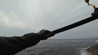 【屋久島】【超一級磯】仕事終わりの野郎どもで盛り上がる。Hanging out fishing in Yakushima rock shore.