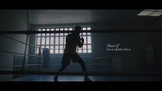 SHARIF - EN CARNE VIVA (Videoclip Oficial)