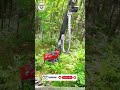 what if you had the most powerful forestry machine on the market