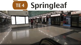 TE4 Springleaf MRT Station: Platforms to Exit 2 | Singapore Walking Tour