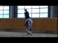 christine traurig clinic kathryn christensen riding determinato part 2