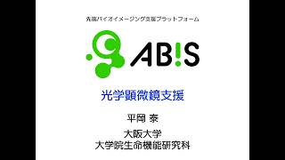 【ABiS】光学顕微鏡支援 平岡泰