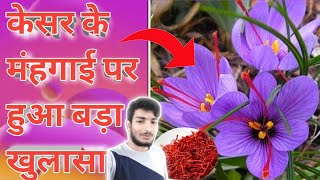 केसर इतना मंहगा क्यों हैं।। Kesar itna mahanga kyon milta hai.