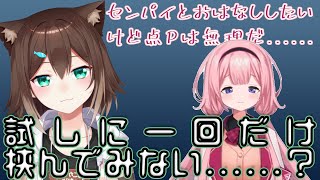 野良猫と話したいンゴと点Pさせたい野良猫【にじさんじ切り抜き/周央サンゴ/文野環】