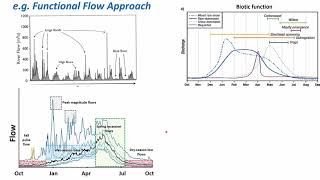 Environmental Flows - Functional Flows Approach