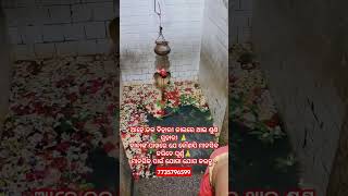 ସବୁ ମନସ୍କାମନା ପୂରଣ ହୁଏ ଏହି ପୀଠ ରେ 🔱🙏🌿😮#viralvideos #trendingshorts #god #musicvideo #song #sad #god