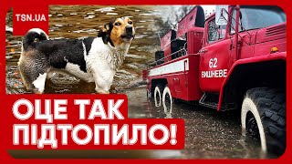 ⛈️ ЦЕНТР УКРАЇНИ ПІШОВ ПІД ВОДУ! Шалені опади накоїли лиха, але і це ще не все! Чого чекати далі?