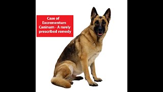 CASE OF EXCREMENTUM CANINUM II Dr. Raghavan