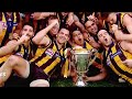 afl grand final premiers 2013 dvd hawthorn vs fremantle