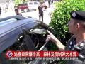 追查泰南爆炸案 森林发现制弹大本营 20160421