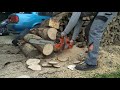 husqvarna 254xp chainsaw cutting some cookies.